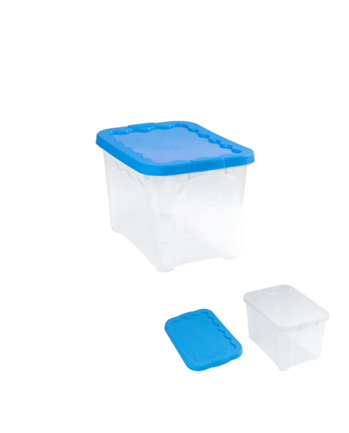 (CONTENITORE MULTIUSO 30X20X17 CM CON COPERCHIO)