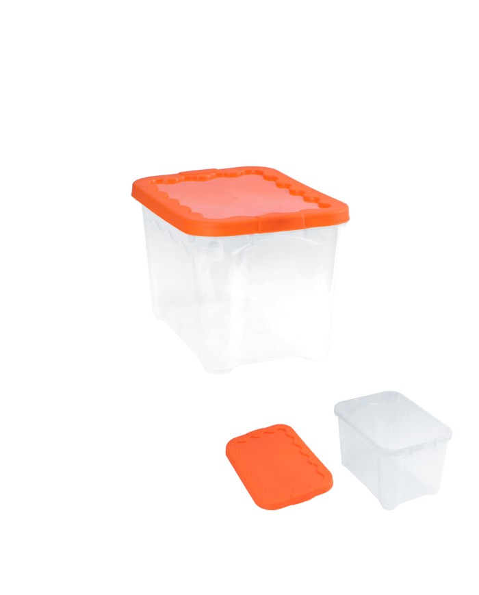 (CONTENITORE MULTIUSO 30X20X17 CM CON COPERCHIO)