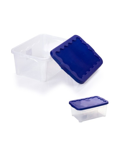 (CONTENITORE MULTIUSO 40X30X17 CM CON COPERCHIO)